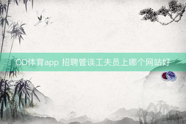 OD体育app 招聘管谈工夫员上哪个网站好