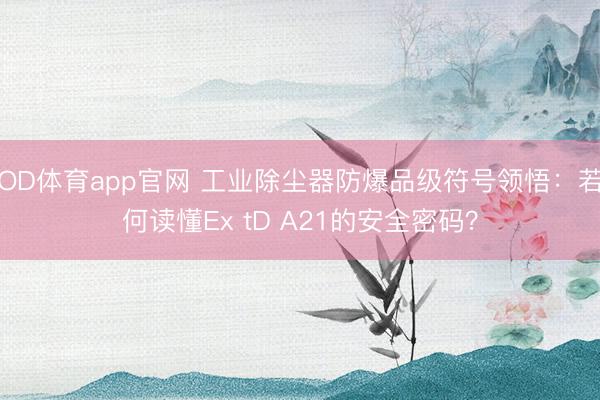 OD体育app官网 工业除尘器防爆品级符号领悟:若何读懂Ex tD A21的安全密码?